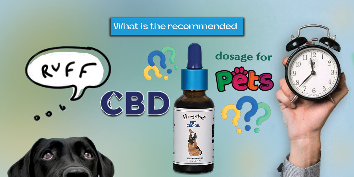 cbd oil for dogs India